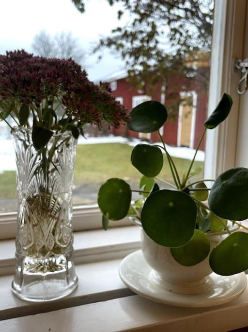 Gamla Ersgarden I Ersmark Umeå Zewnętrze zdjęcie